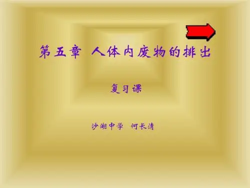人体内废物的排出