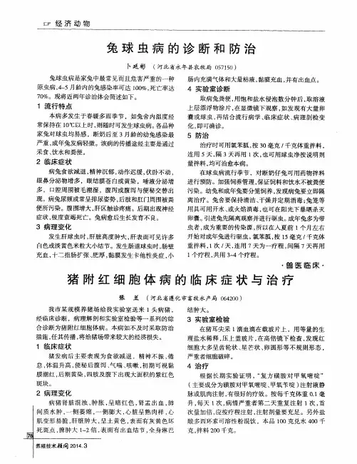 猪附红细胞体病的临床症状与治疗