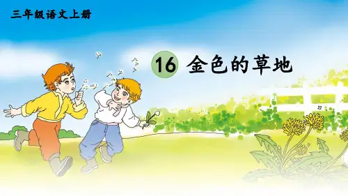 部编版三年级语文上册第16课《金色的草地》优质课件【最新】