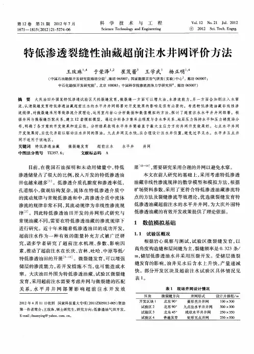 特低渗透裂缝性油藏超前注水井网评价方法