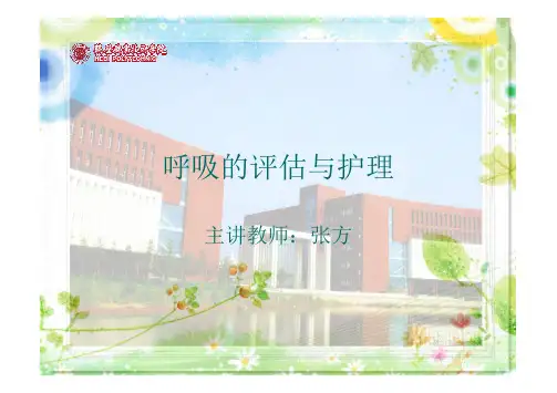 呼吸的评估与护理