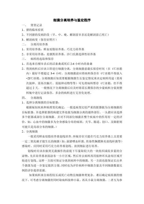 细菌分离培养与鉴定程序