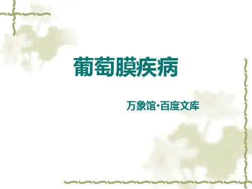 葡萄膜炎玻璃体病