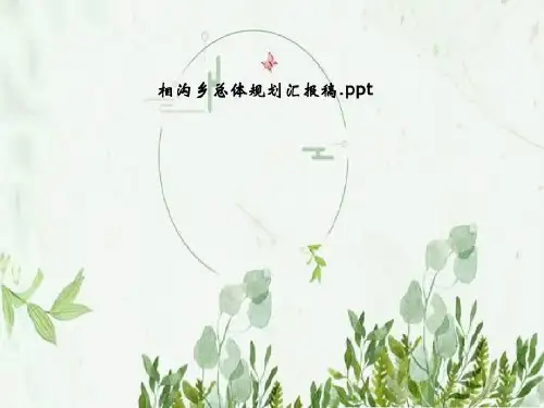 相沟乡总体规划汇报稿28页PPT