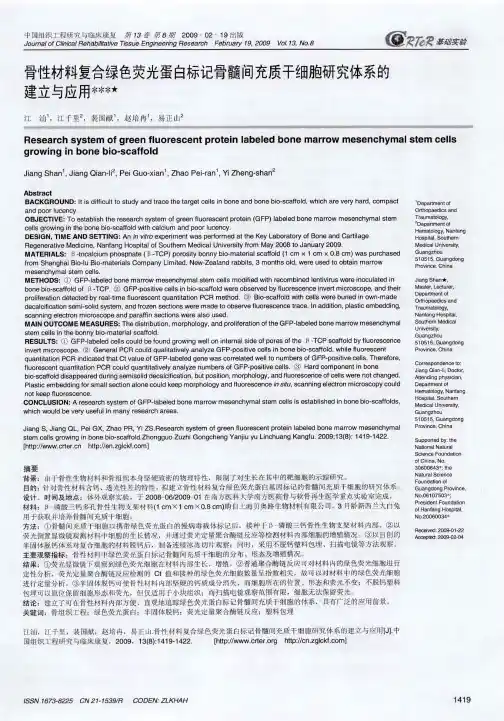 骨性材料复合绿色荧光蛋白标记骨髓间充质干细胞研究体系的建立与应用