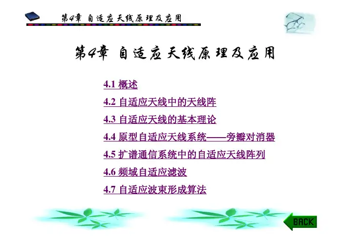 无线电抗干扰通信原理及应用 第4章