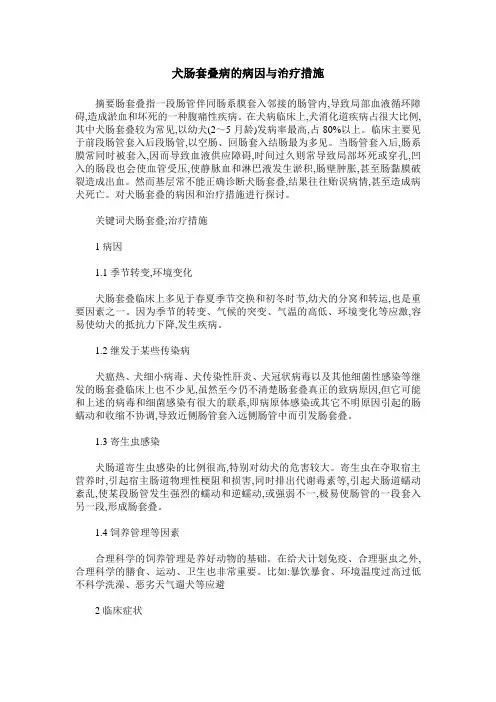 犬肠套叠病的病因与治疗措施