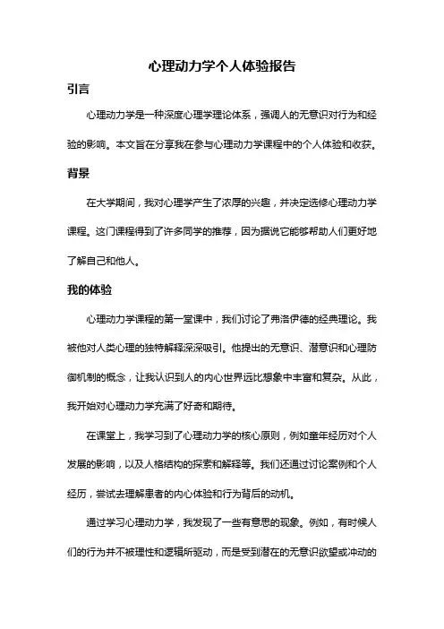 心理动力学个人体验报告