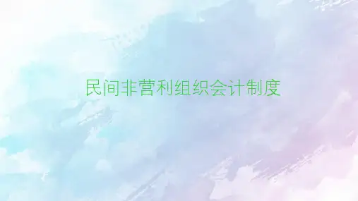 民间非营利组织会计制度PPT课件