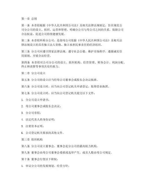 开分公司公司章程模板