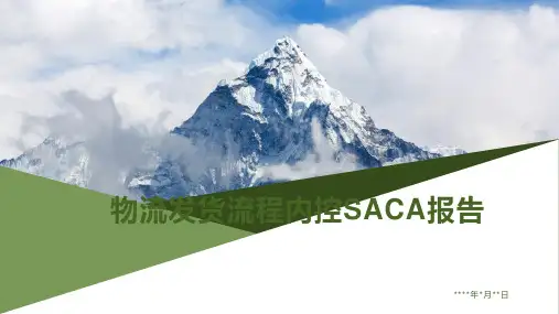 物流发货流程内控SACA报告