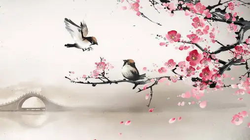 风险的分类与识别