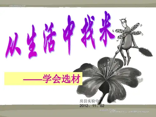 从生活中找米概述