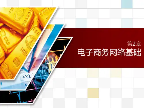 电子商务网络基础.pptx