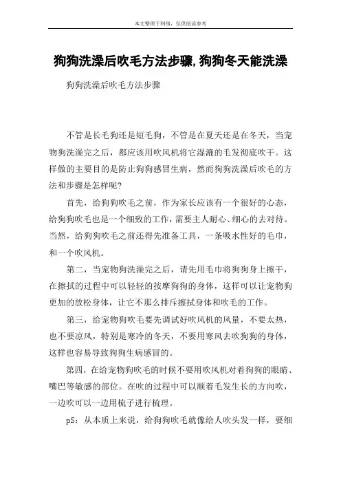 狗狗洗澡后吹毛方法步骤,狗狗冬天能洗澡