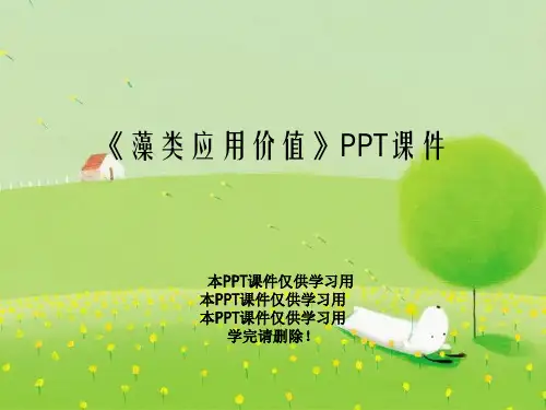 《藻类应用价值》PPT课件