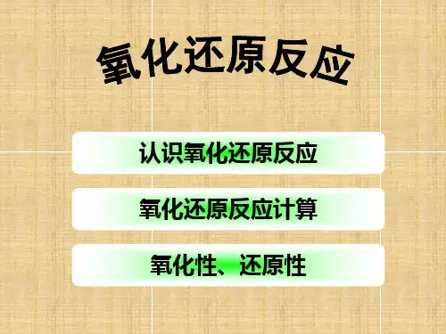 氧化还原反应公开课