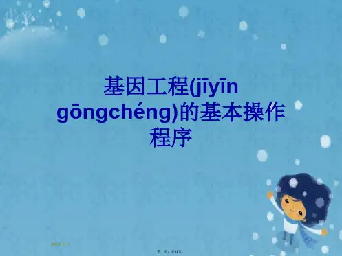 基因工程的基本操作程序