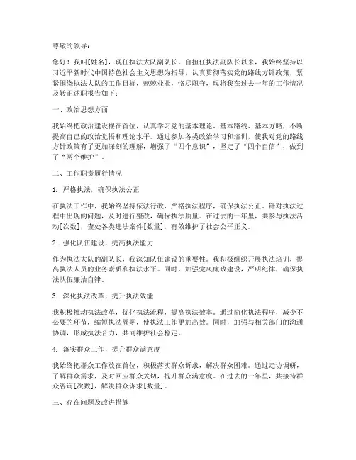 执法副队长转正述职报告