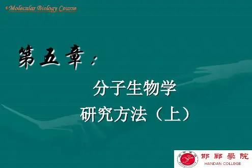 基因克隆技术