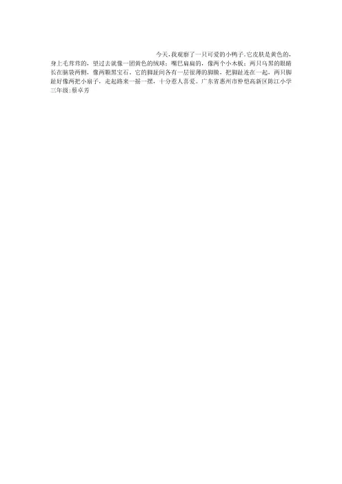 可爱的小鸭子作文150字