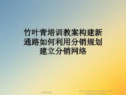 竹叶青培训教案构建新通路如何利用分销规划建立分销网络