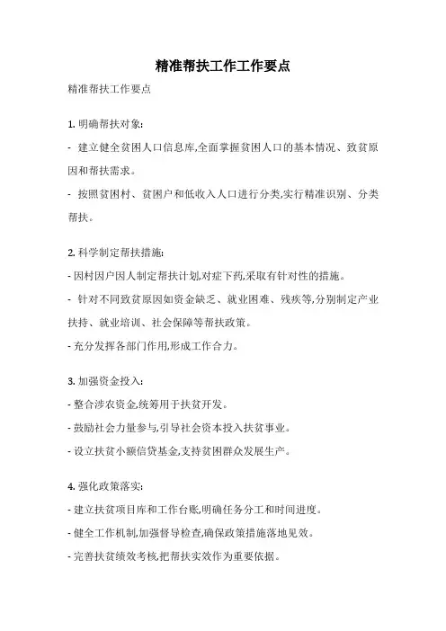 精准帮扶工作工作要点