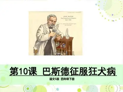 最新配套S版四年级语文下册《巴斯德征服狂犬病》精品课件