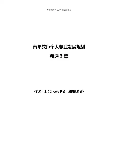 青年教师个人专业发展规划精选3篇