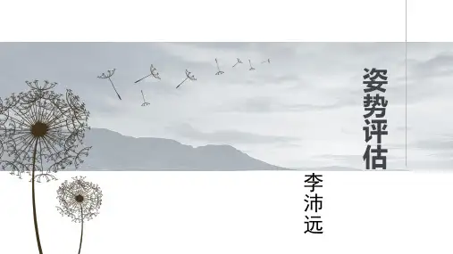姿势评估