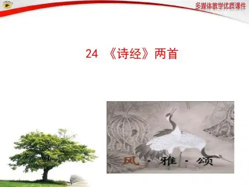24 《诗经》两首