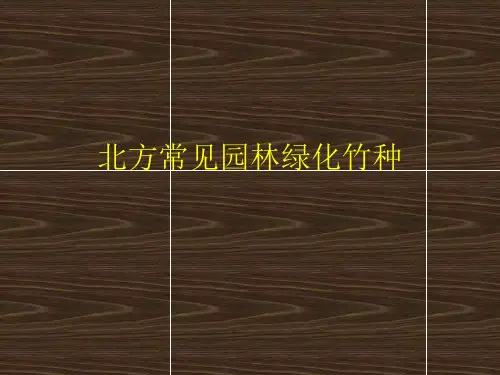 北方常见竹种