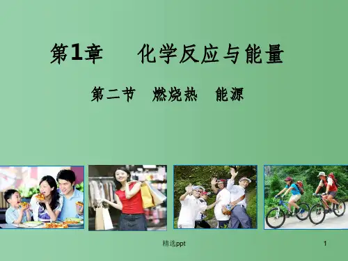 (教师参考)高中化学 1.2  燃烧热 能源课件3 新人教版选修4