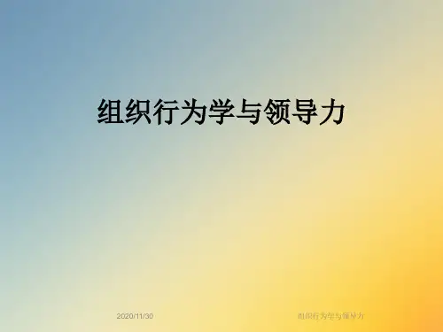 组织行为学与领导力