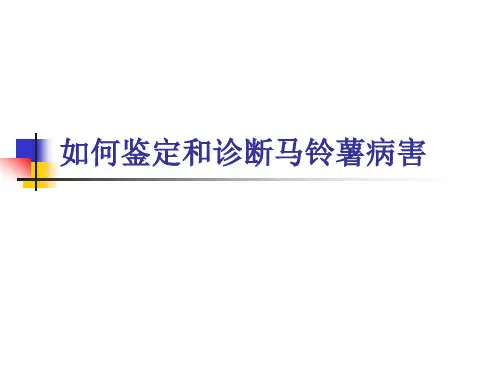 如何鉴定和诊断马铃薯病害