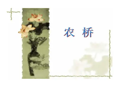 农桥建筑物的设计的资料共58页