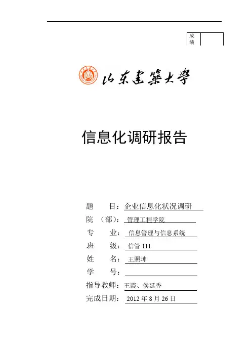 信息化调研报告模板