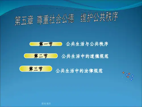 公共生活与公共秩序
