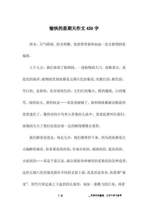 愉快的星期天作文450字