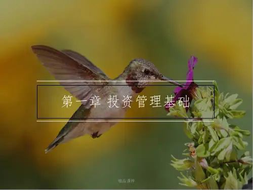 第一章 投资管理基础ppt课件