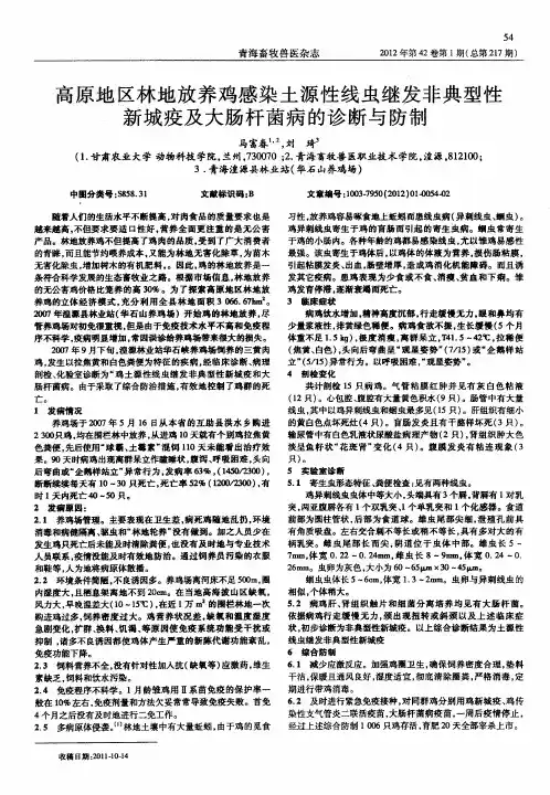 高原地区林地放养鸡感染土源性线虫继发非典型性新城疫及大肠杆菌病的诊断与防制