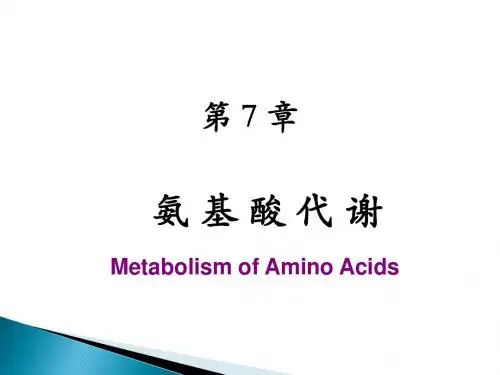 氨基酸代谢