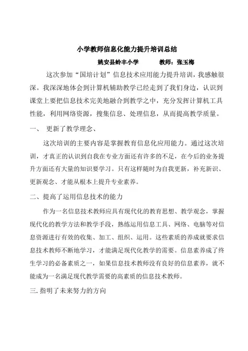 小学教师信息化能力提升培训总结