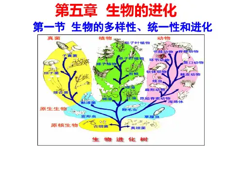 5.1-生物的多样性、统一性和进化