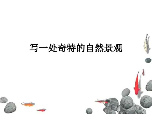 习作一自然景观