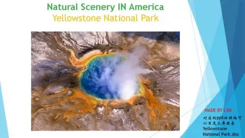 Yellowstone National Park