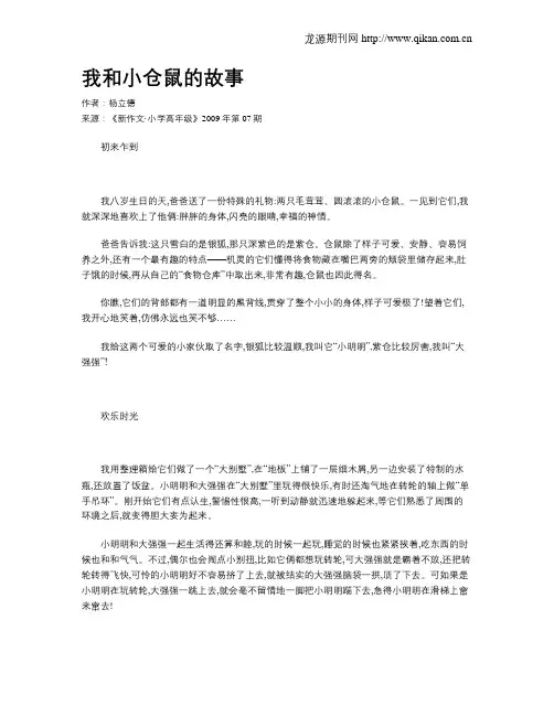 我和小仓鼠的故事