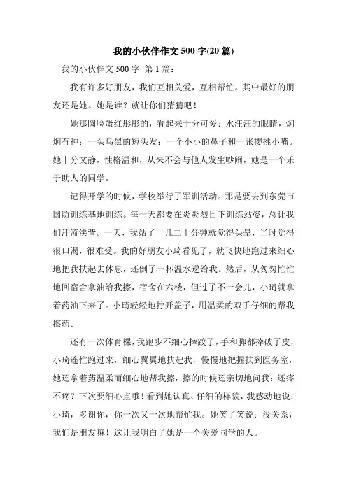 新整理我的小伙伴作文500字(20篇)