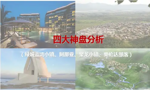 四大神盘分析(阿那亚、奥伦达部落、聚龙小镇、蓝湾小镇) PPT