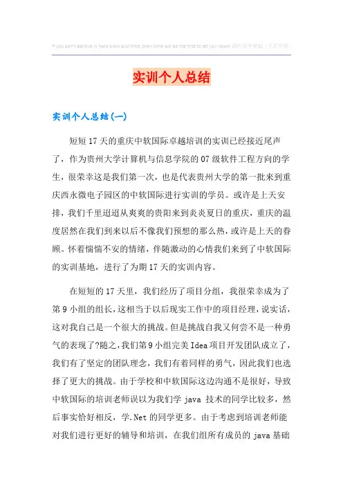 实训个人总结